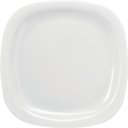 P6313-11 Dinner Plate 11"