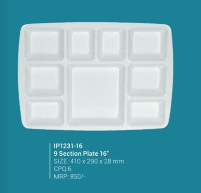 Picture of IP1231-16 9-Section Plate 16"